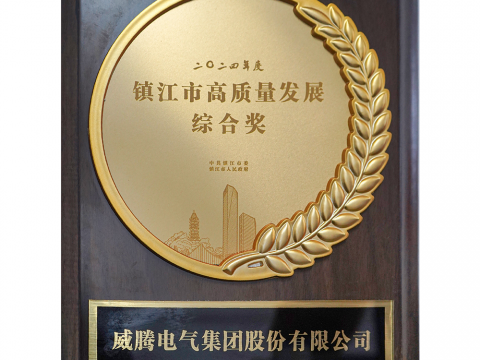 喜讯│PP电子荣获2024年度镇江市高质量发展综合奖