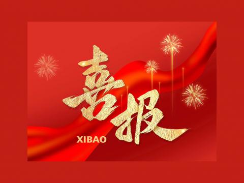 PP电子电气顺利达成乌兹别克斯坦智算中心项目合作