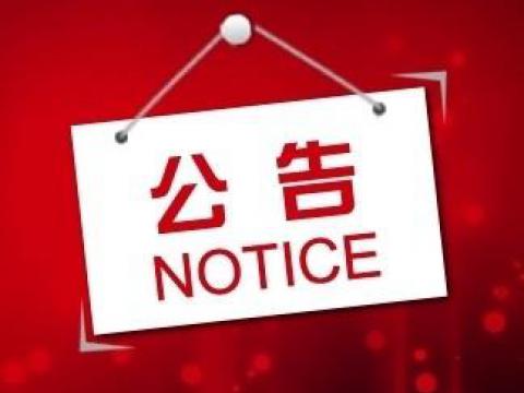 PP电子关于上市辅导备案的公告